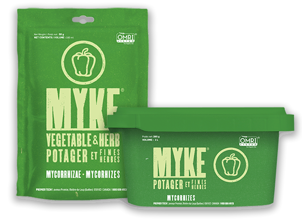 mycorhizes myke